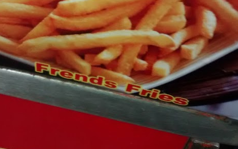 frends fries